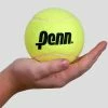 Penn 4" Large Tennis Ball
