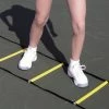Tennis Accessories Oncourt Offcourt Sport Ladder 30'